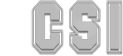 CSI logo